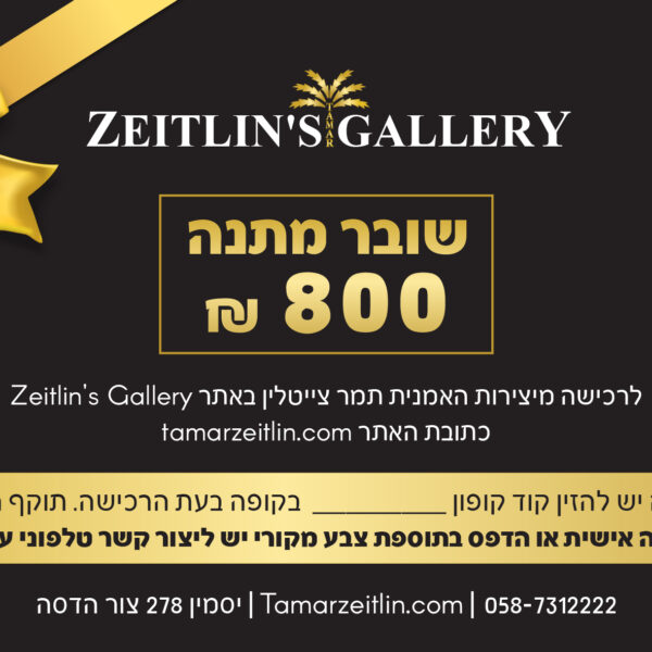 קופון לרכישה באתר ע"ס 800 ש"ח